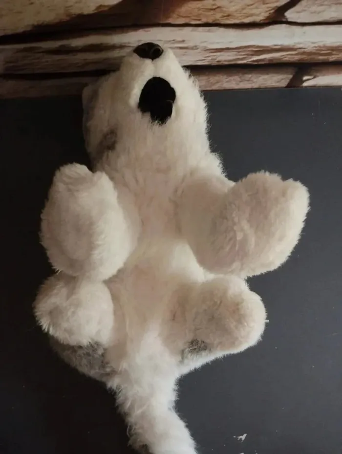 🐻Peluche Husky 🐻 - photo numéro 4