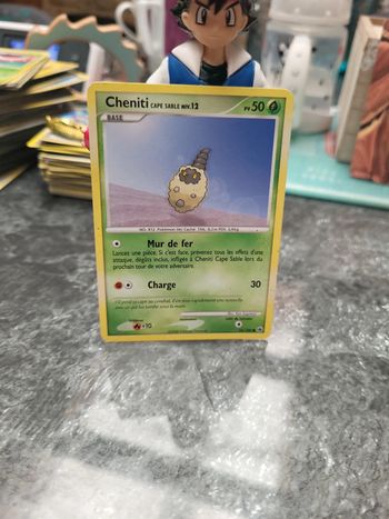 Pokémon cheniti cape sable niveau.12