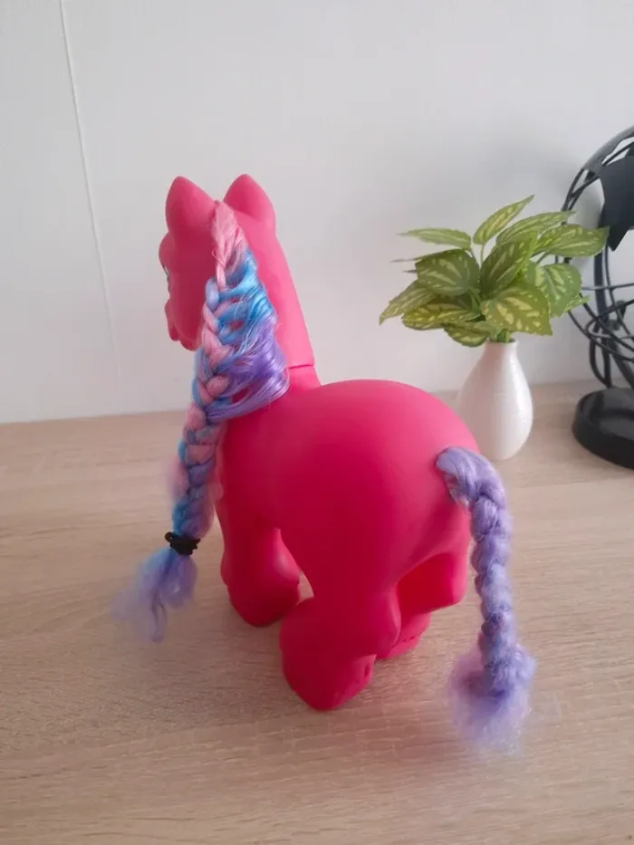 Grand Poney - photo numéro 4
