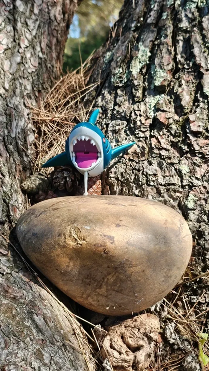 Super figurine Pokemon Nintendo Sharpedo - photo numéro 2