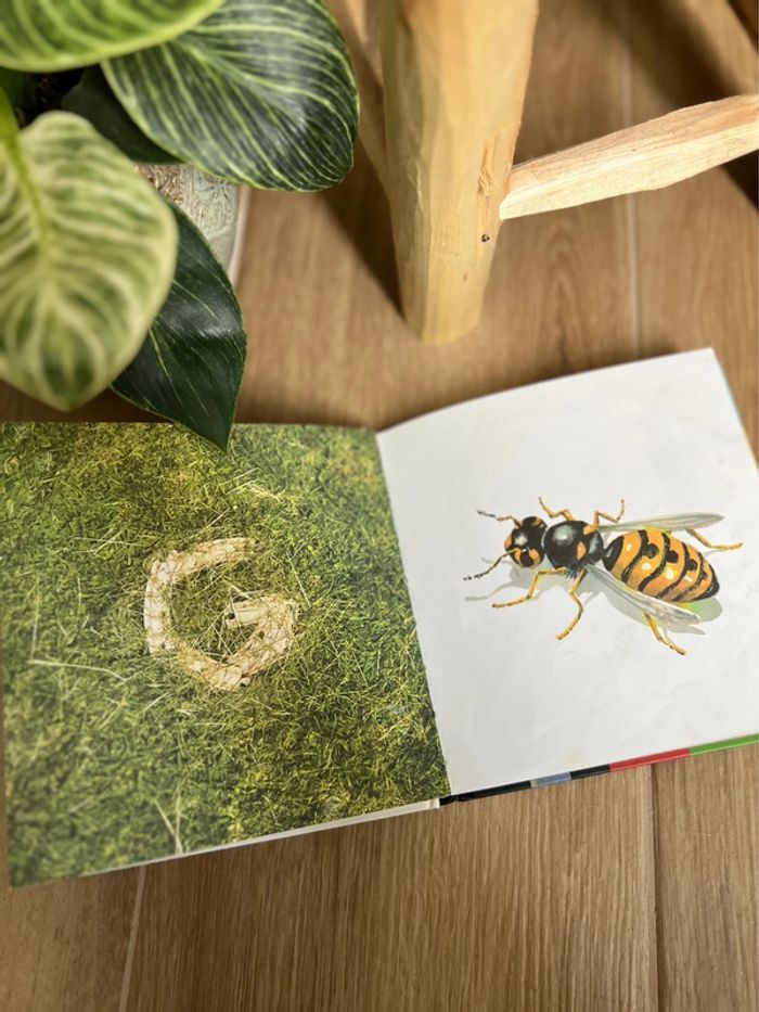 Livre enfant - photo numéro 11