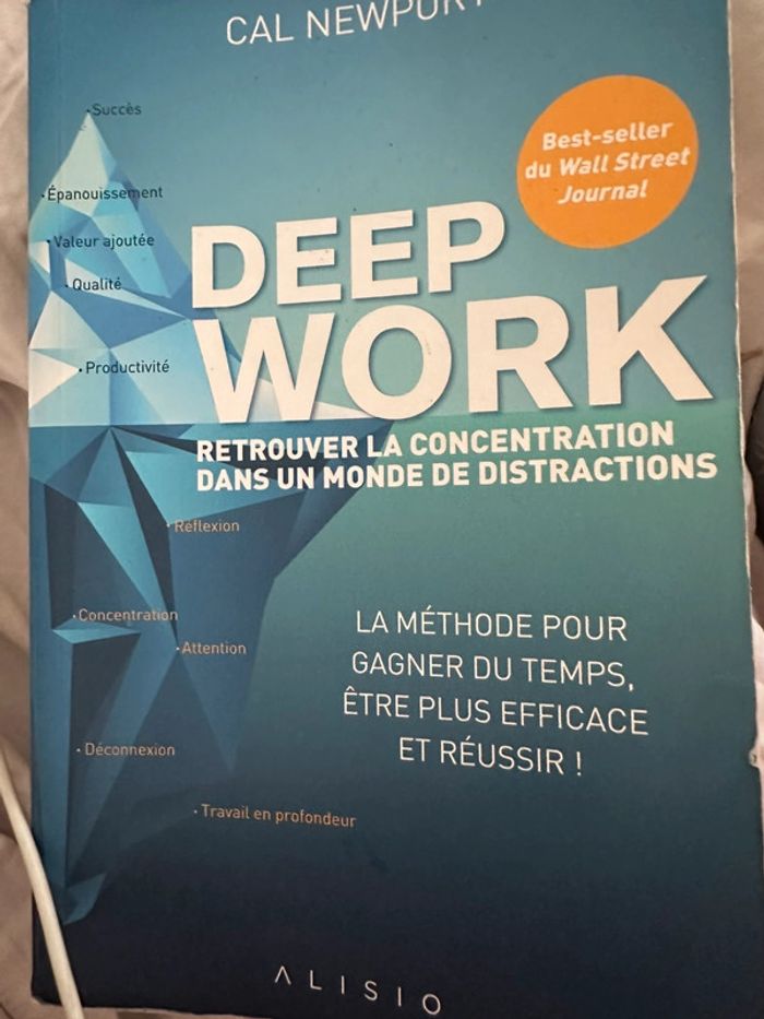 Deep Work livre