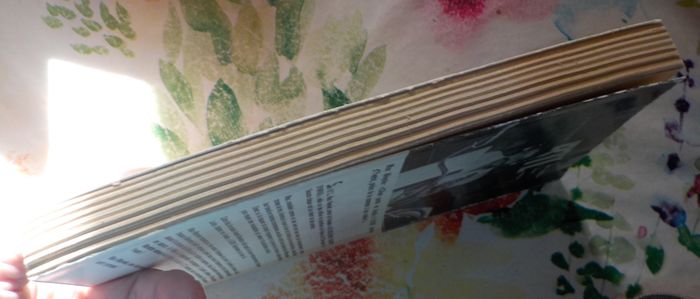 CHIEN PERDU EN ARABIE par G. MARTINEAU Ed. Cadrat - photo numéro 4