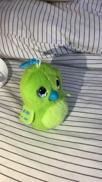 Peluche