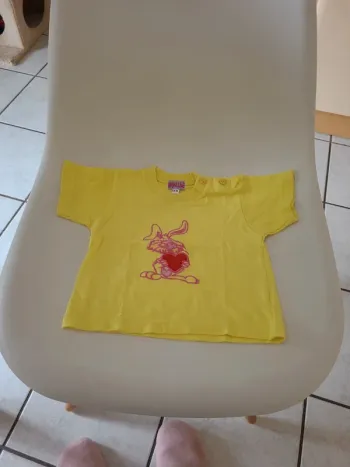 Lot tee-shirts manches courtes bébé fille