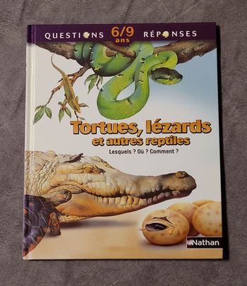 Tortues, lézards et autres reptiles Amanda O'Neill, Ariane Bataille (Traduction)