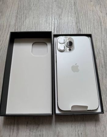 Iphone 13 pro max