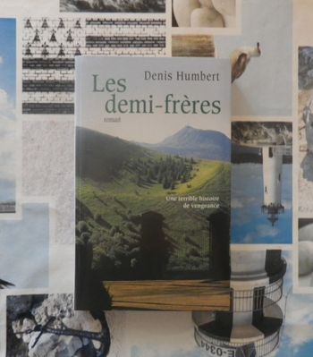 Les demi-frères de Denis Humbert Ed. Succès du Livre