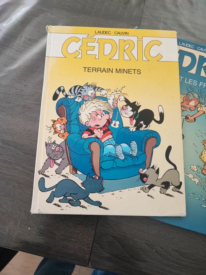Lot 2 bd Cédric - photo numéro 2