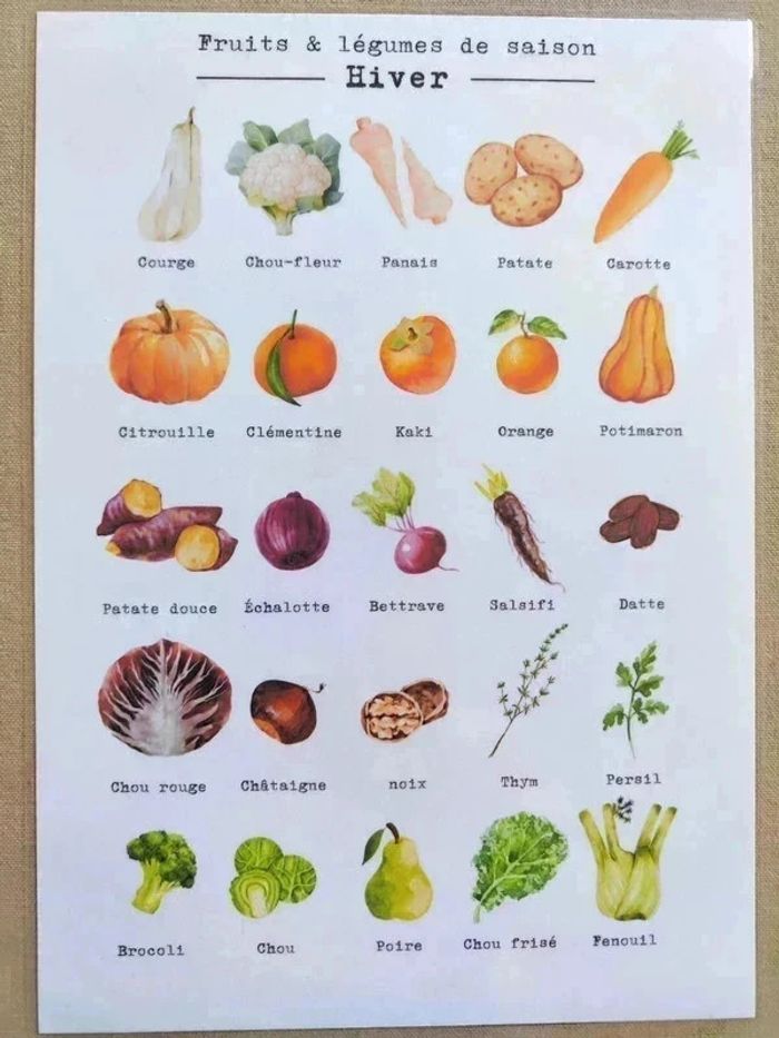 Fruits et légumes de saison d'Hiver A4 papier 250G - photo numéro 2