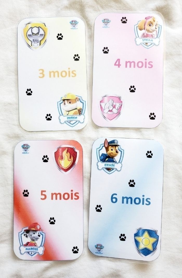 14 cartes étape - photo numéro 10