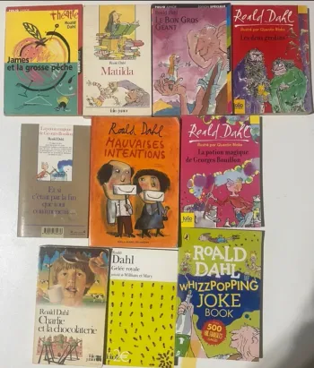 Lot de 10 livres Ronald Dahl pour ado ou plus