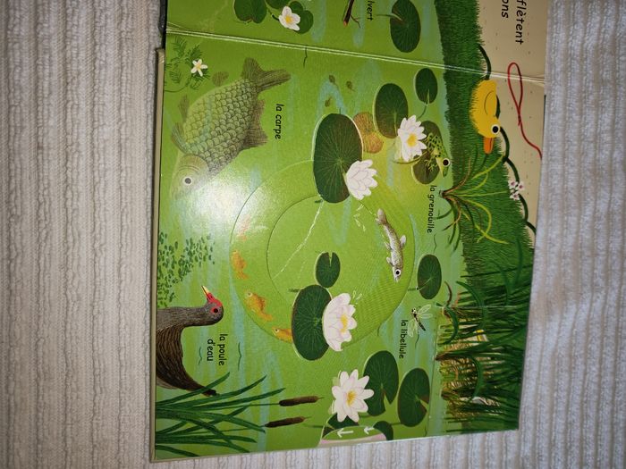 Livre animé minikidi la nature en ville - photo numéro 3