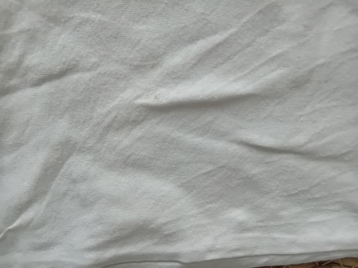 GEMO T-shirt Animal Crossing 12 ans - photo numéro 3