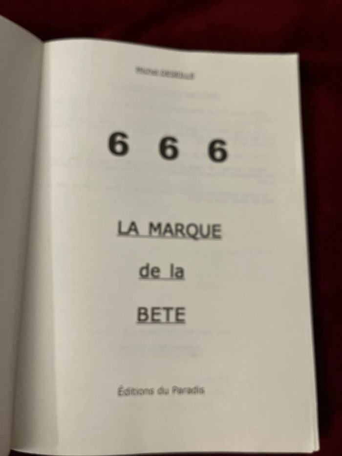 Introuvable sur Vinted et épuisé en librairie ! Livre ésotérique - photo numéro 3