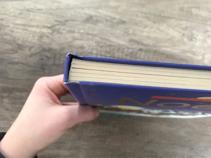 Livre mots en images, éditions Usborne : noël - photo numéro 5