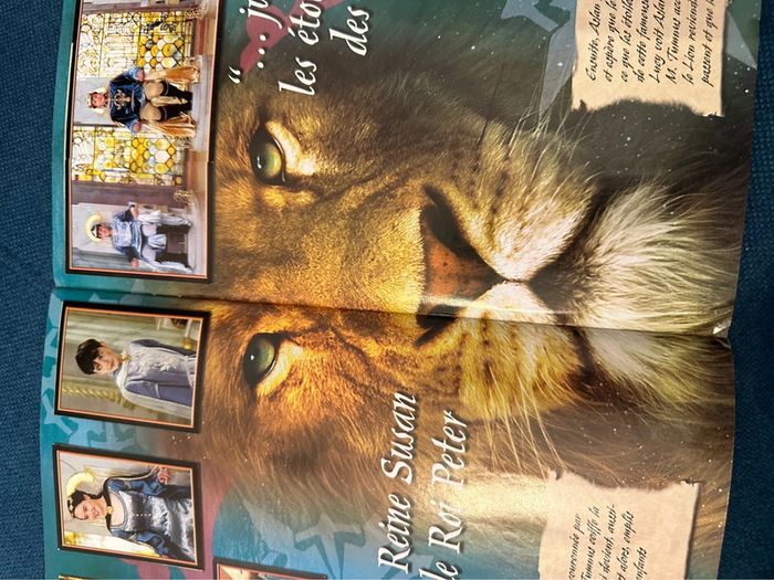Album Panini complet + poster Le Monde de Narnia Chapitre 1 Lion sorcière blanche armoire magique - photo numéro 11