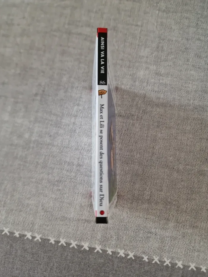 Livre Max et Lili se posent des questions sur Dieu - photo numéro 3