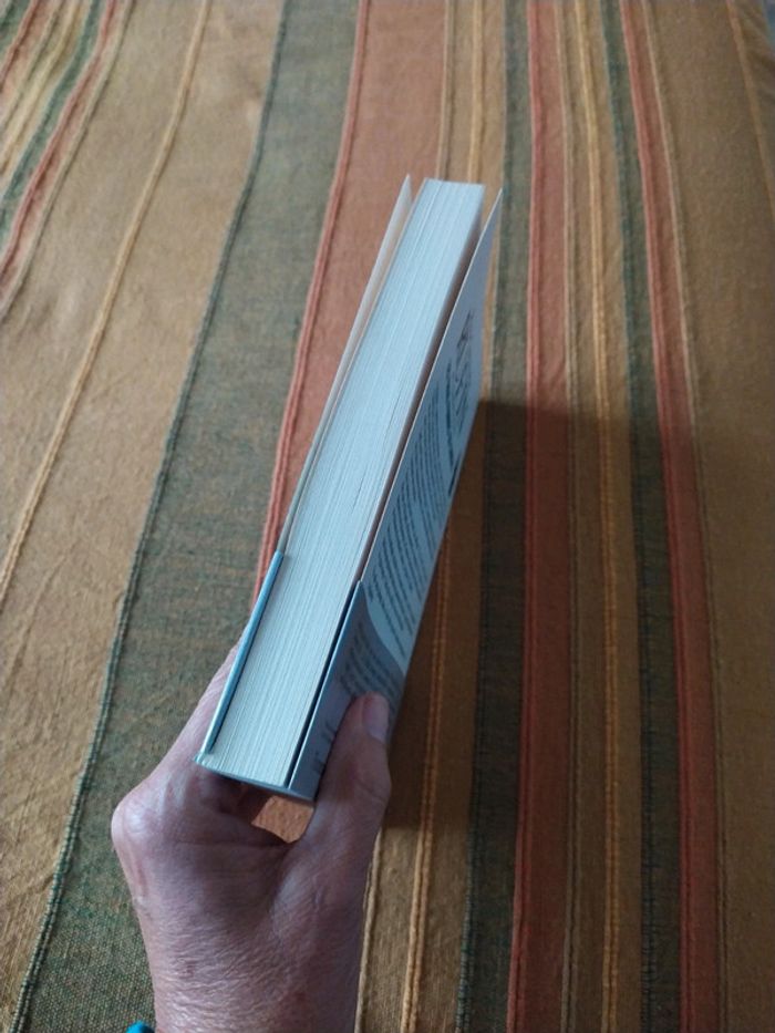 Les trois femmes du Consul de Jean Christophe Rufin - photo numéro 5