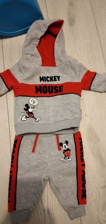 Ensemble mickey