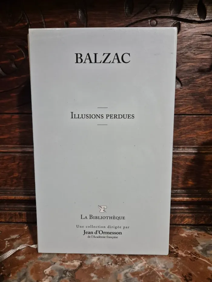 📚 Balzac - Illusions perdues 📚 - photo numéro 10
