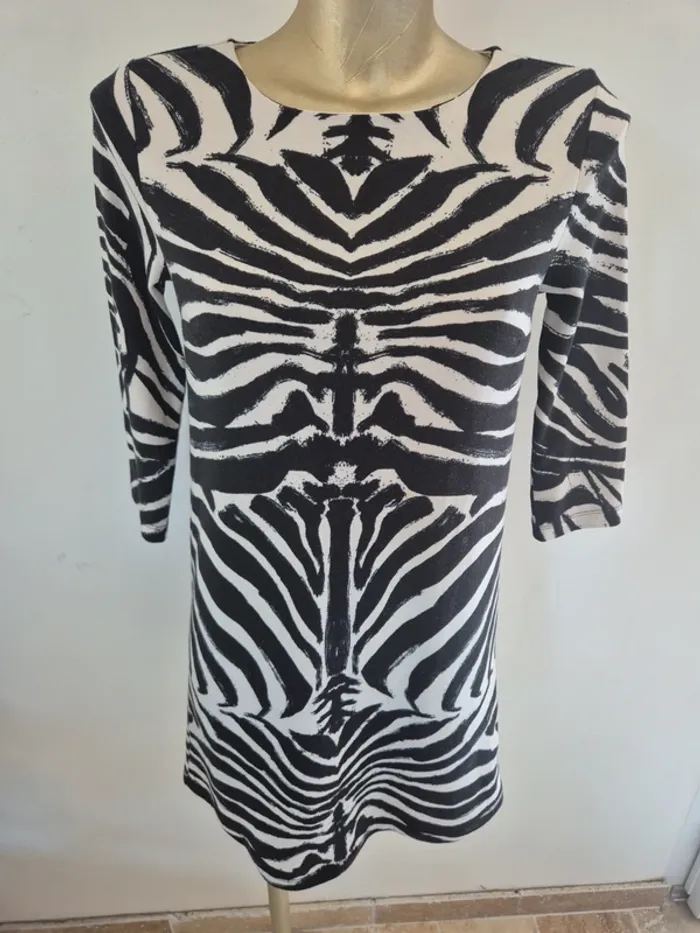 Robe zèbre taille xs h&m - photo numéro 3