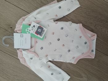 Lot 3 bodies obaïbi