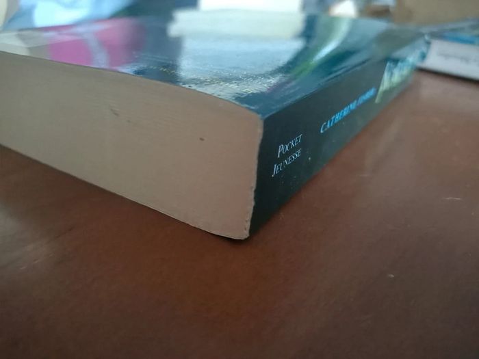 Livre de poche incarceron (Catherine fisher / éditions pocket jeunesse) - photo numéro 3