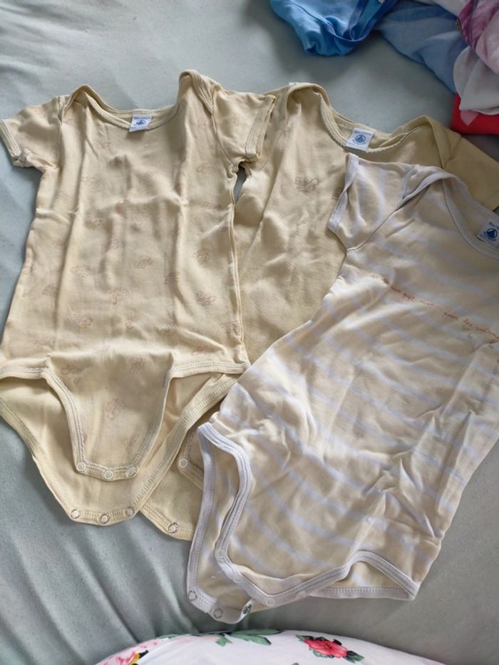 Lot 3 bodies petit bateau 36 mois