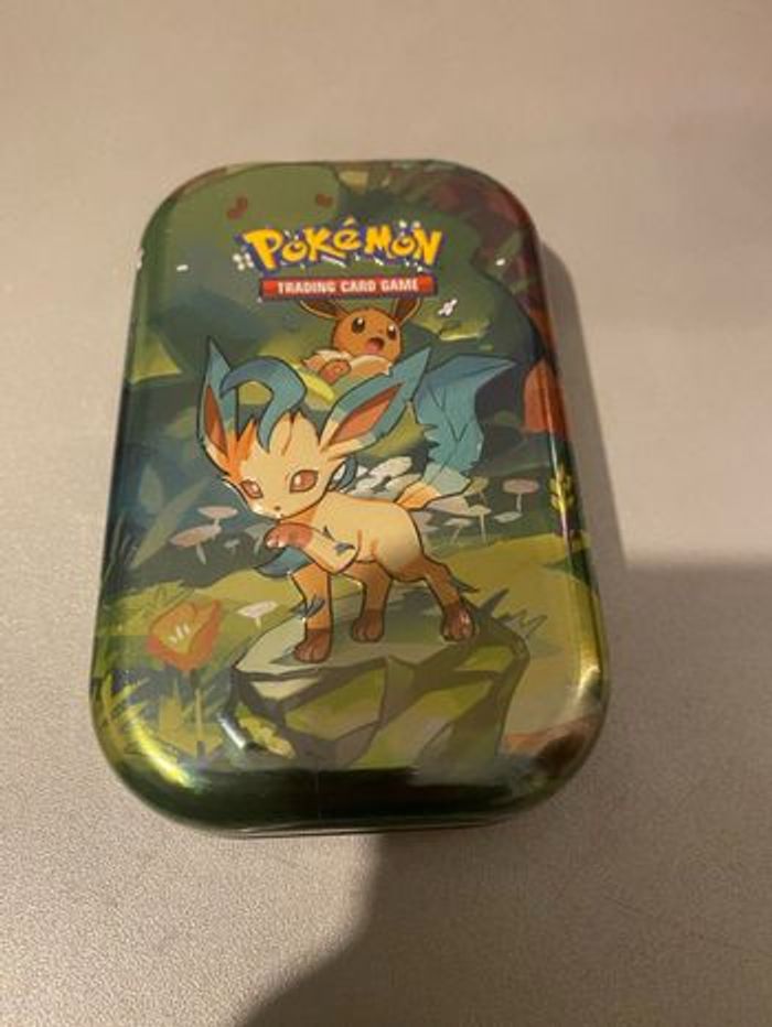 Boîtier booster Pokémon