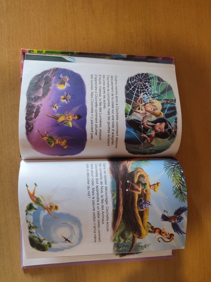 Fée clochette - photo numéro 3