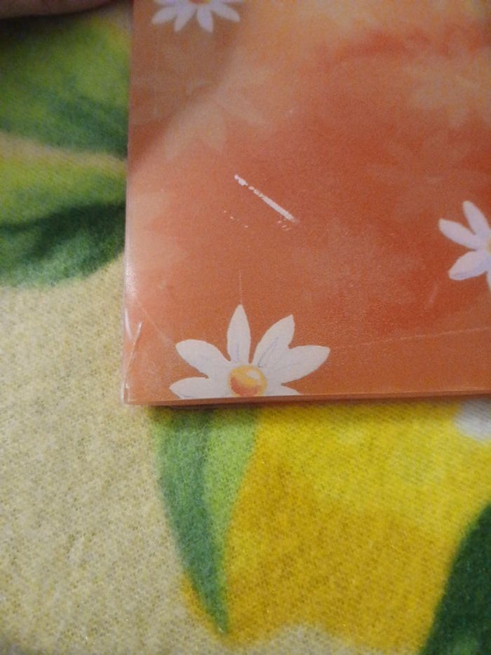 Pochette - photo numéro 4
