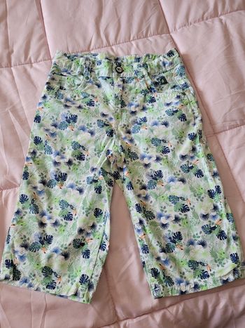 bermuda sergent major 8 (7e)