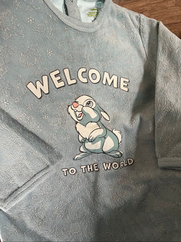 Lot 2 pyjamas Panpan - photo numéro 7