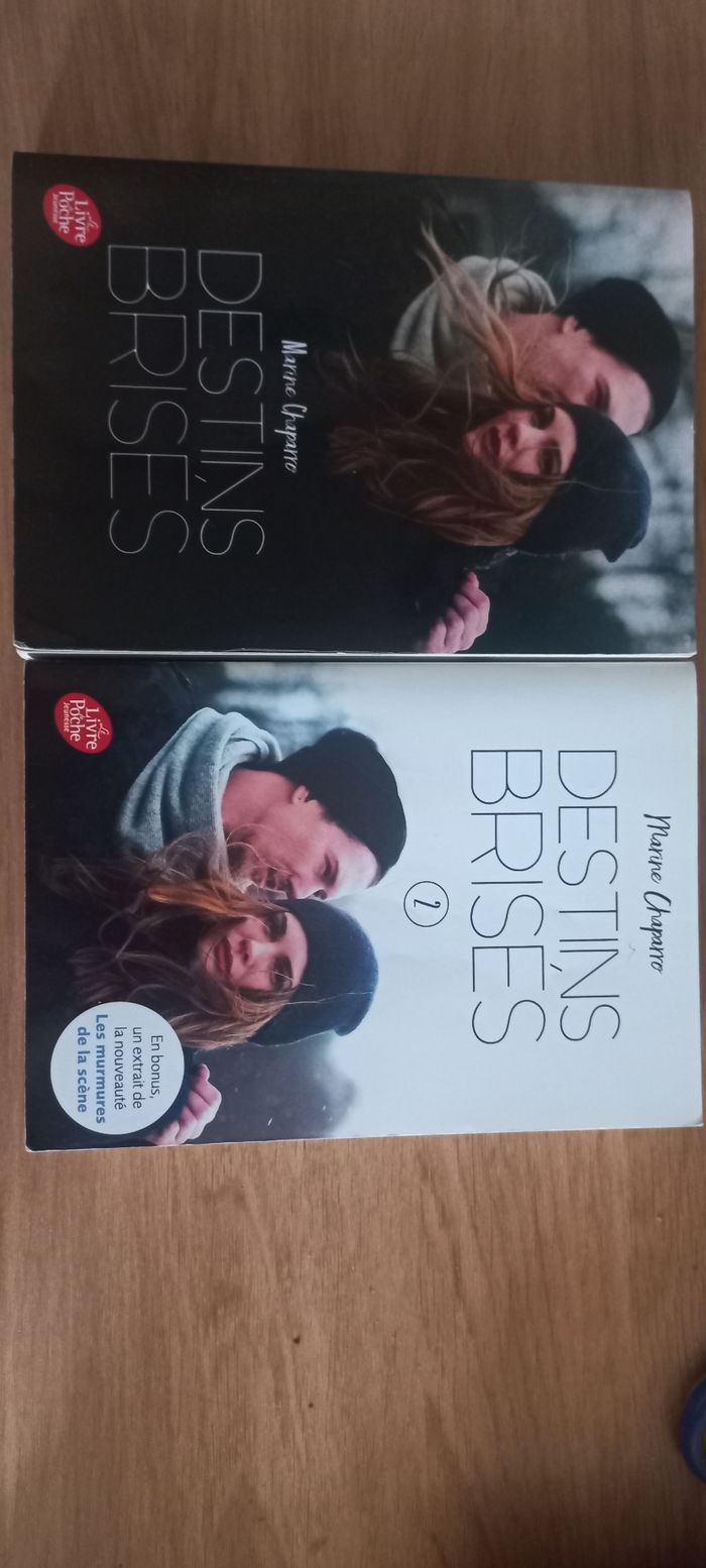 Lot de 2 livres : Destins brisés