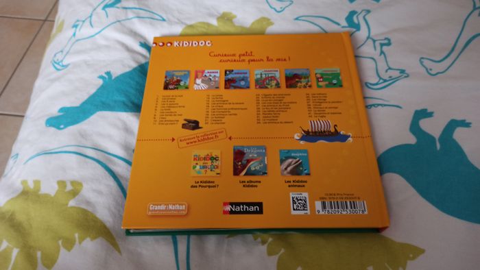 Livre Les vikings - photo numéro 2