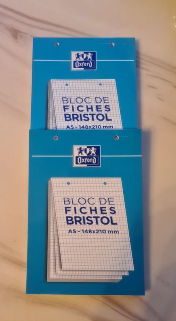 Lot de 2 blocs de fiches bristol NEUFS