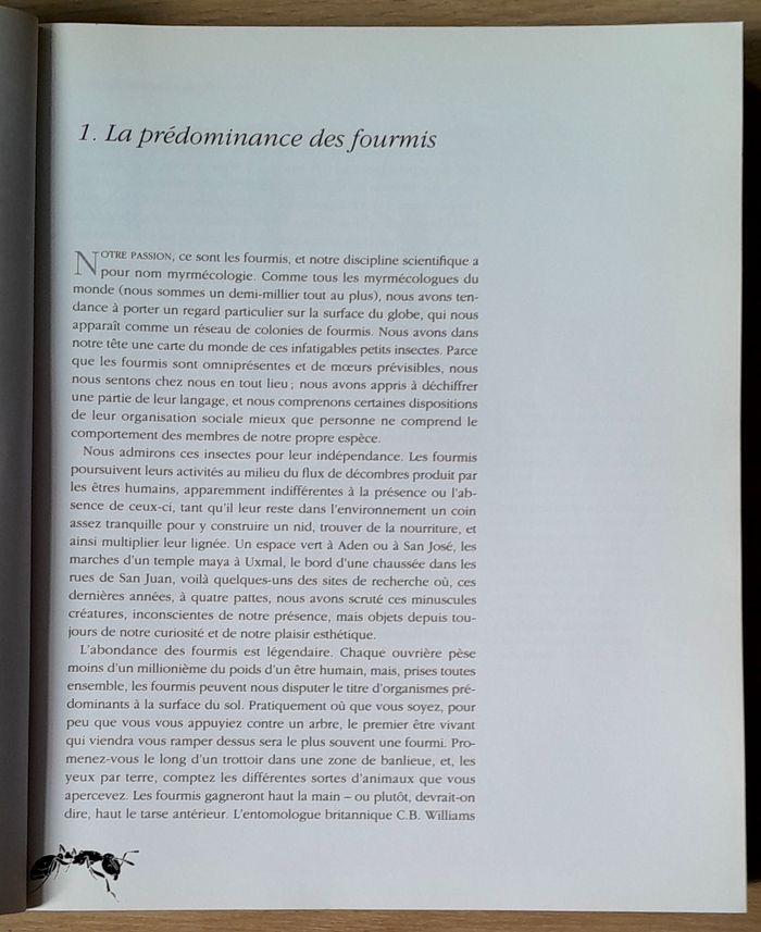 Voyage chez les fourmis - une exploration scientifique - photo numéro 6