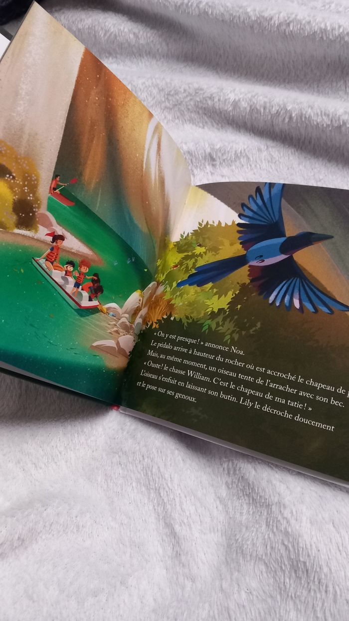 Livre - photo numéro 2