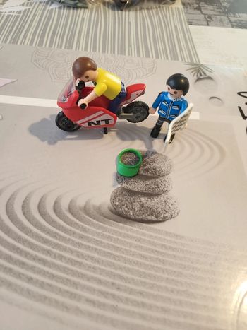 Playmobil spécial plus 70425