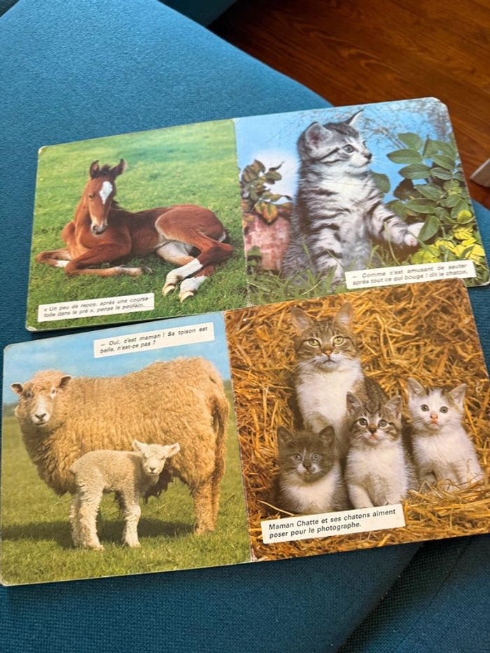 Lot de 2 livres anciens carton cartonnés Dans le pré + Bébés animaux campagne bouton d’or - photo numéro 4