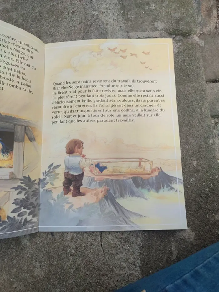 Livre Blanche-Neige et les trois petits cochons - photo numéro 8