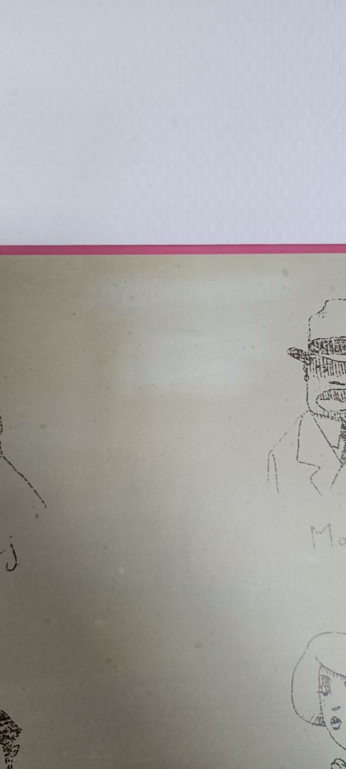 L'étonnante histoire de Mario - photo numéro 5
