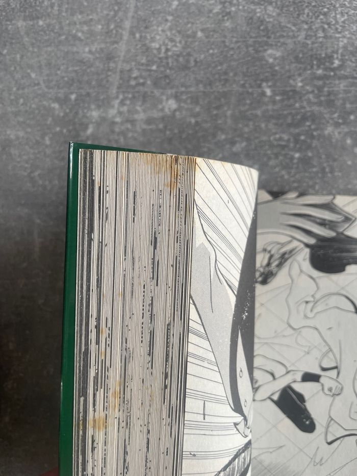 Manga Tsubasa reserve chronicle, tome 6 en version française. - photo numéro 3