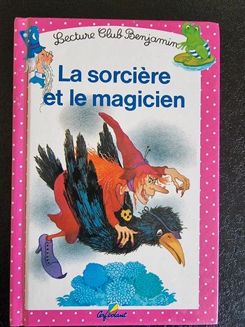 Livre enfant la Sorcière et le magicien