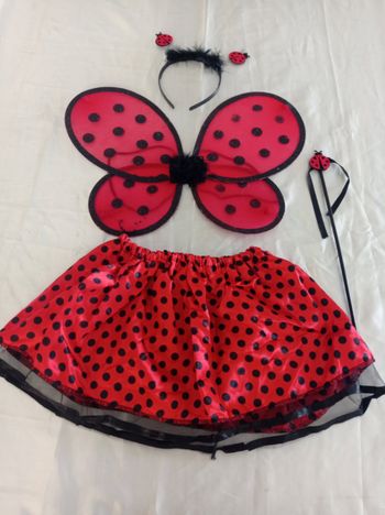 Déguisement coccinelle papillon 3-6ans