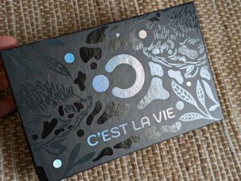 Palette C'est la vie The Dots