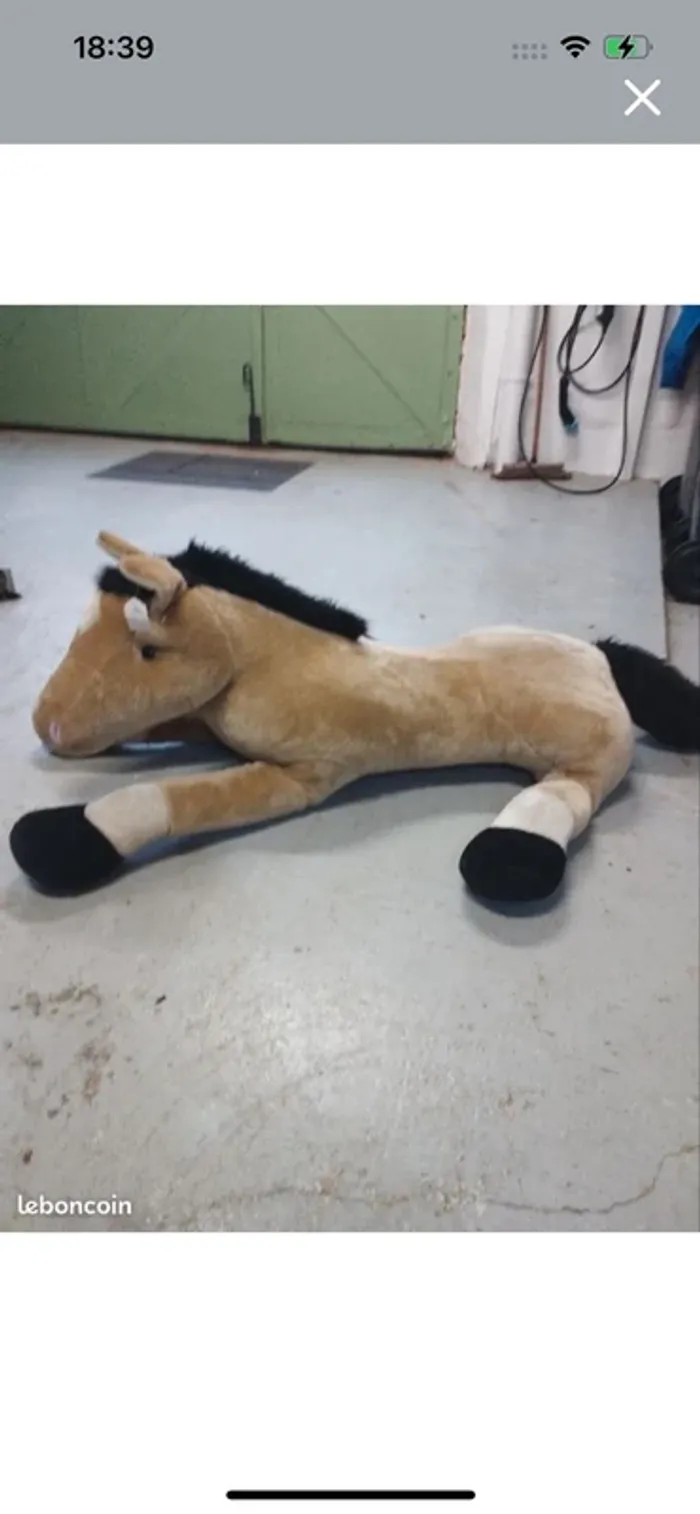 Cheval - photo numéro 2