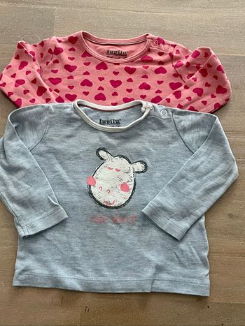Lot 2 tee shirts ml lupilu