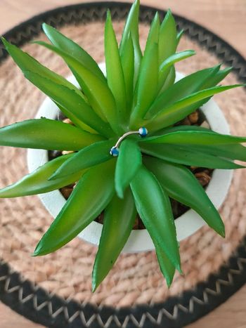 🍁Piercing arcade🍁